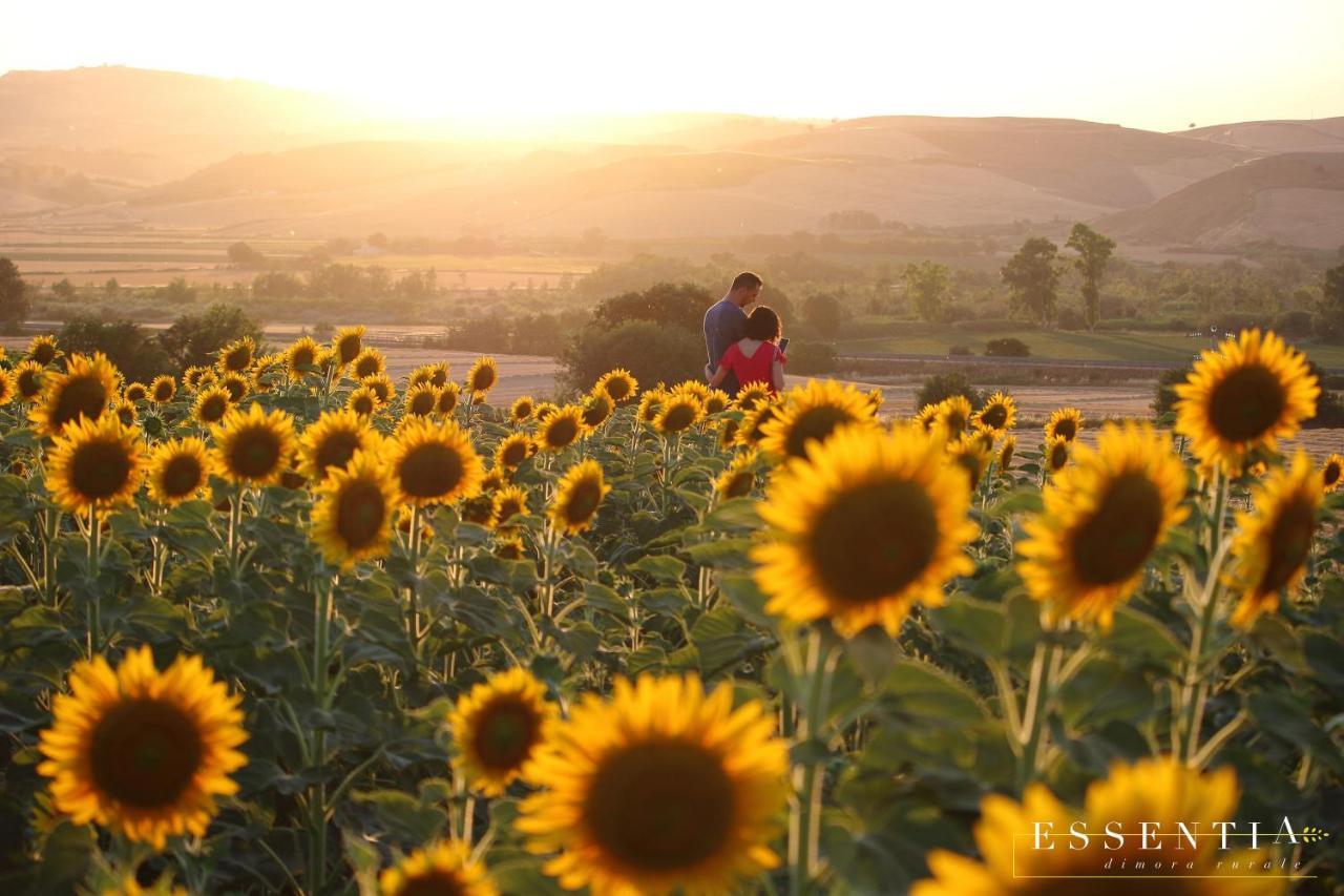 Agriturismo Essentia Dimora Rurale Larino Экстерьер фото