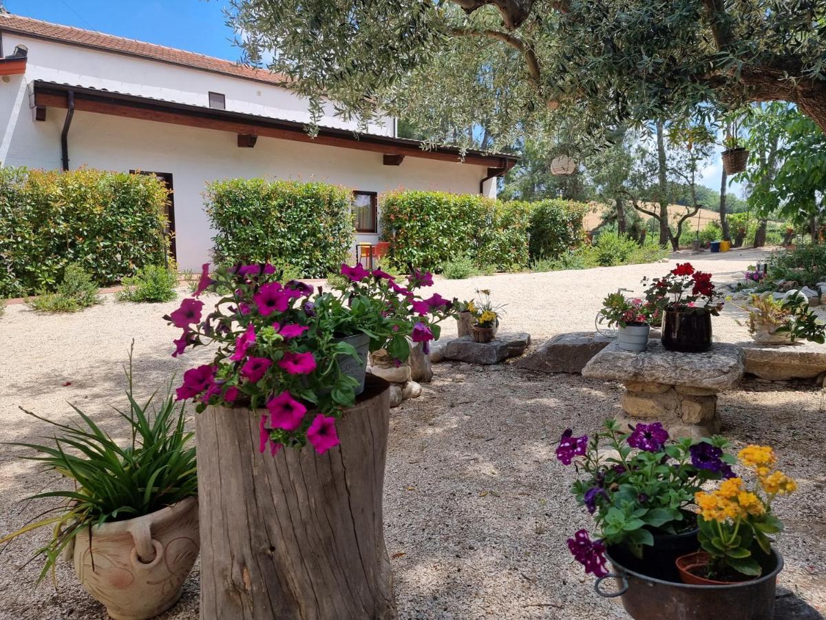 Agriturismo Essentia Dimora Rurale Larino Экстерьер фото