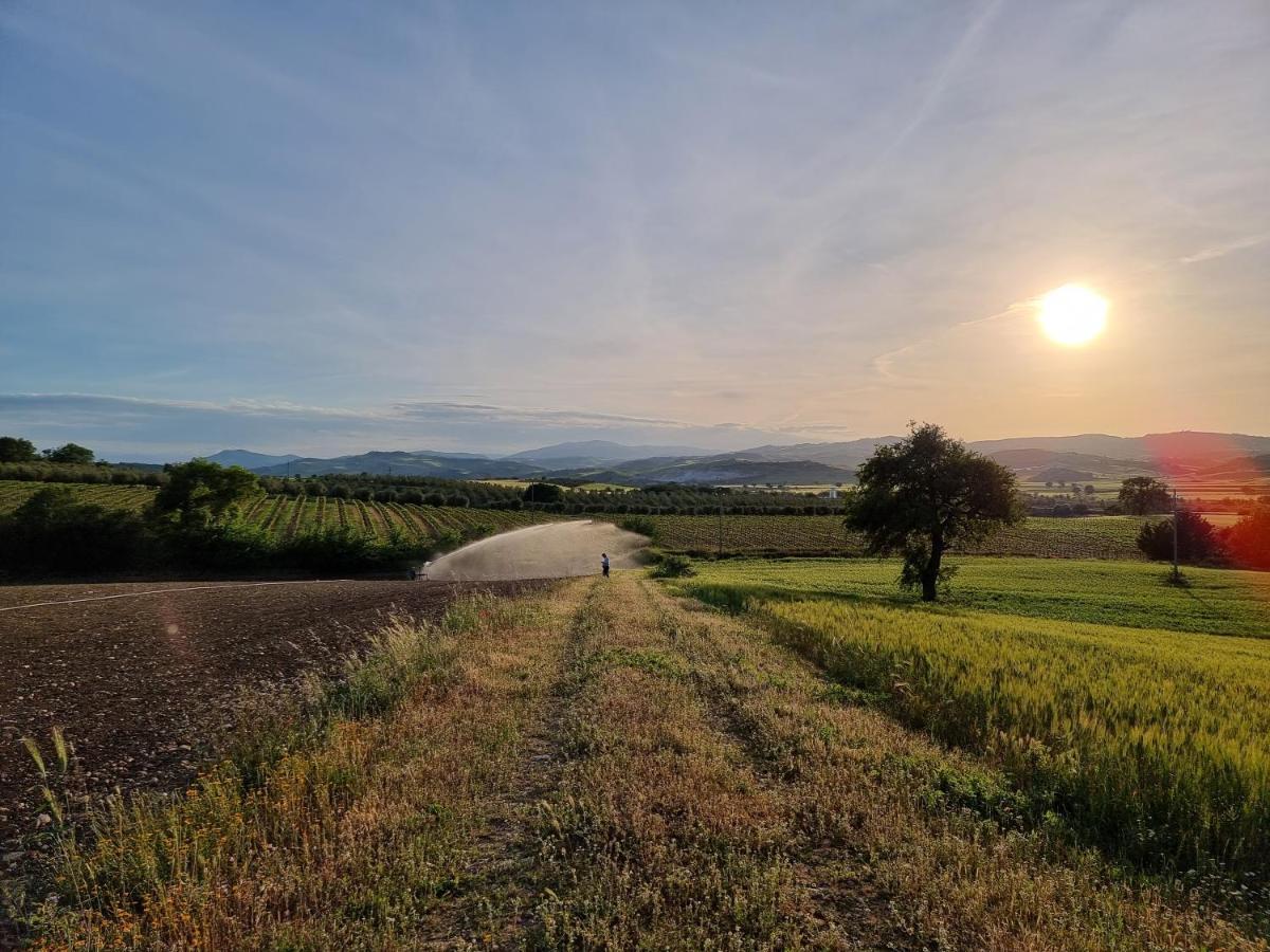 Agriturismo Essentia Dimora Rurale Larino Экстерьер фото