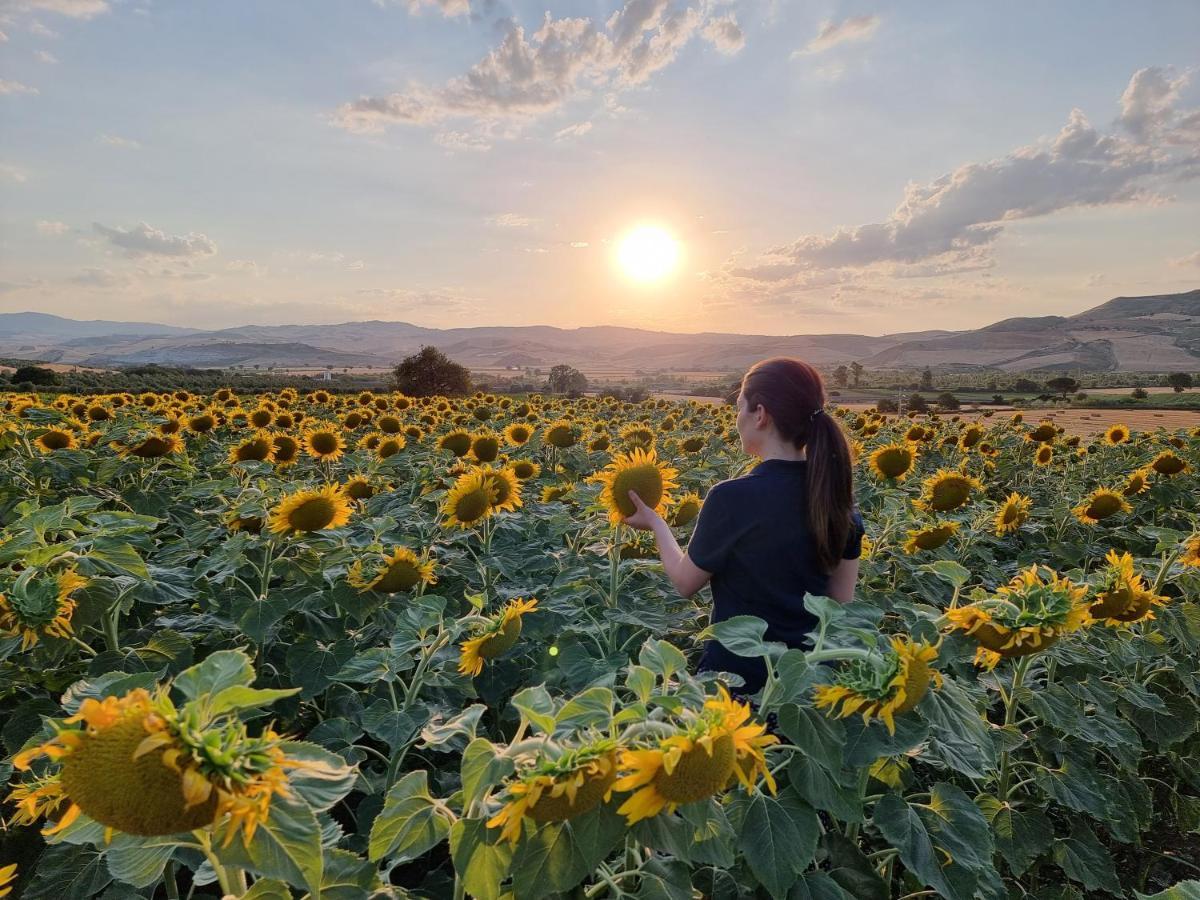 Agriturismo Essentia Dimora Rurale Larino Экстерьер фото