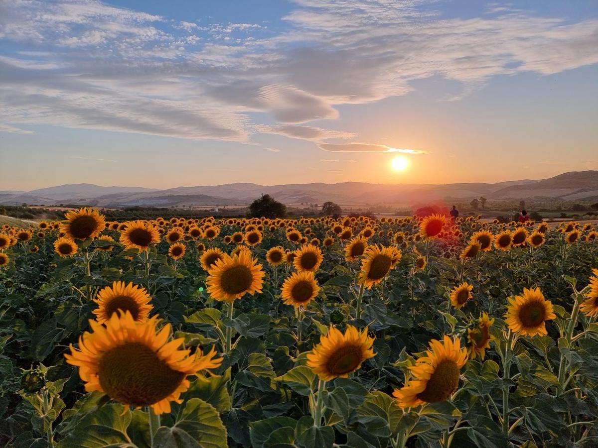 Agriturismo Essentia Dimora Rurale Larino Экстерьер фото