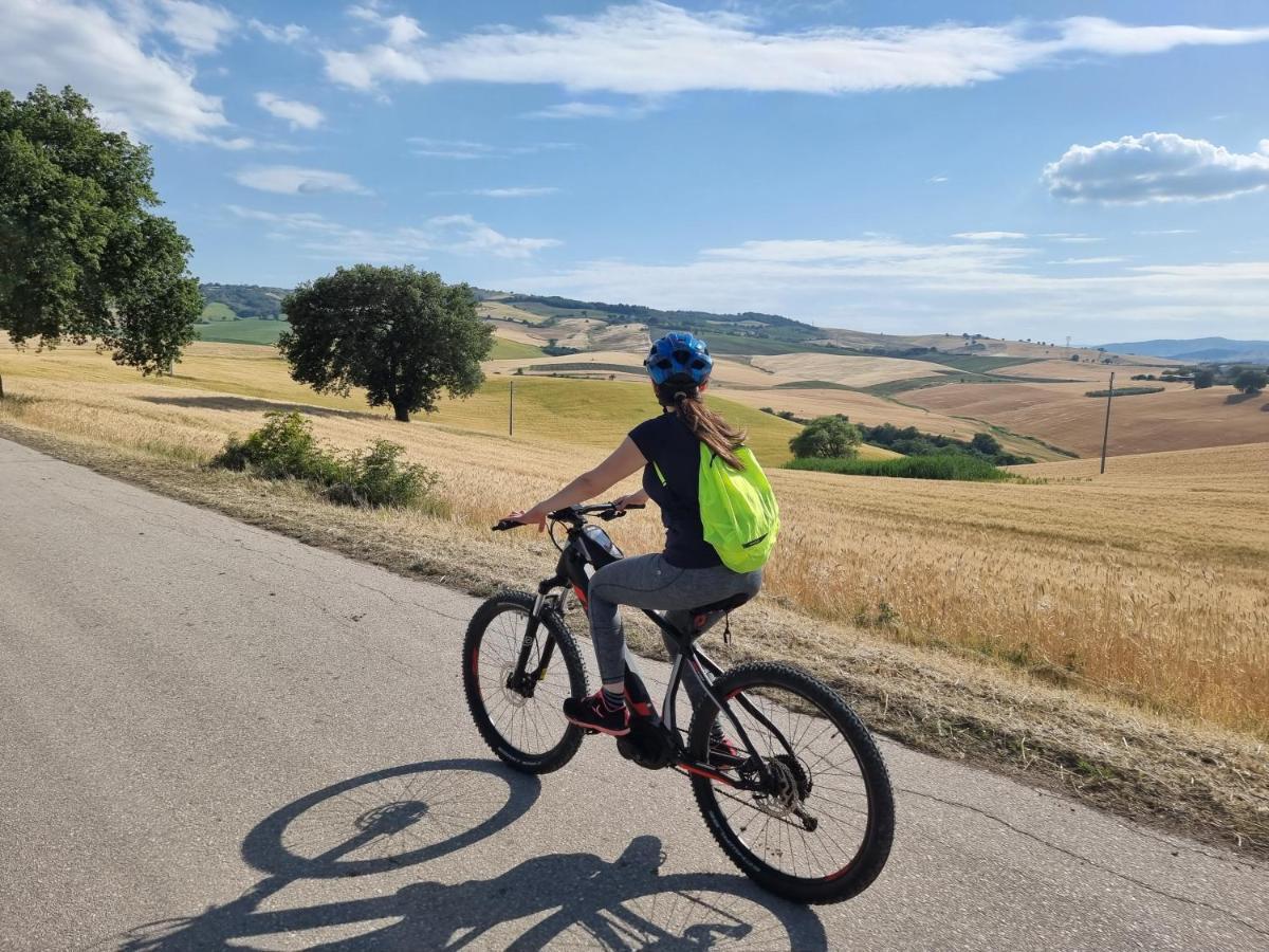Agriturismo Essentia Dimora Rurale Larino Экстерьер фото