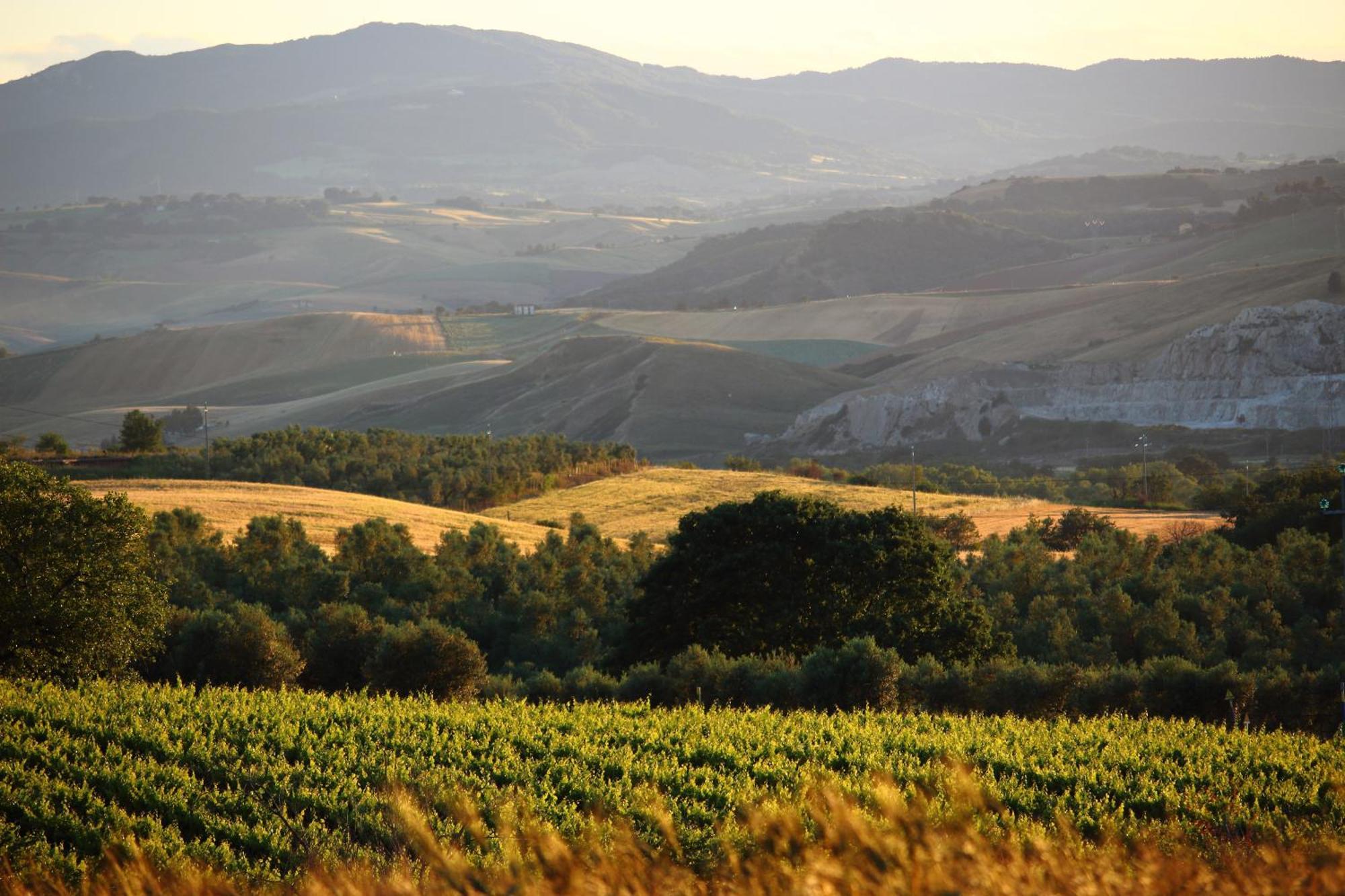 Agriturismo Essentia Dimora Rurale Larino Экстерьер фото