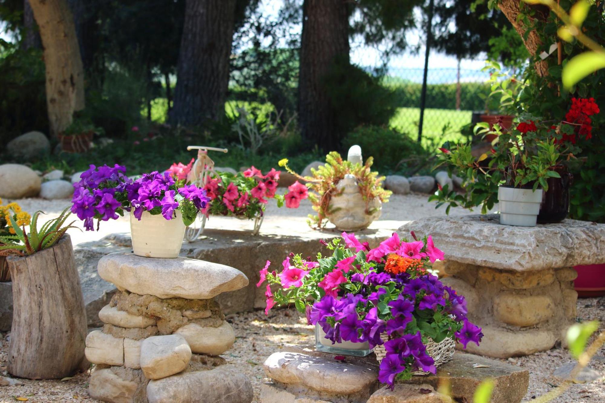 Agriturismo Essentia Dimora Rurale Larino Экстерьер фото