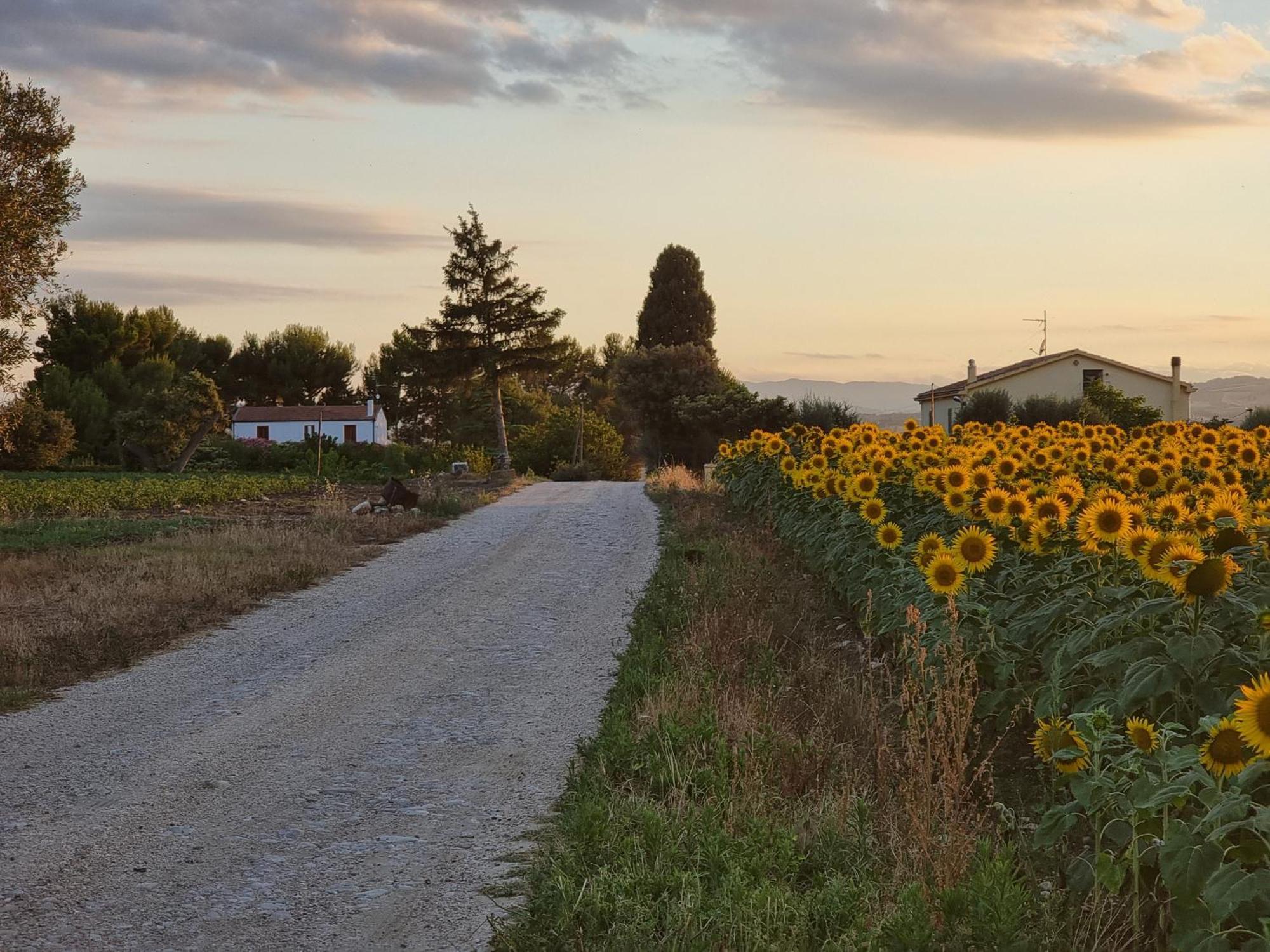 Agriturismo Essentia Dimora Rurale Larino Экстерьер фото