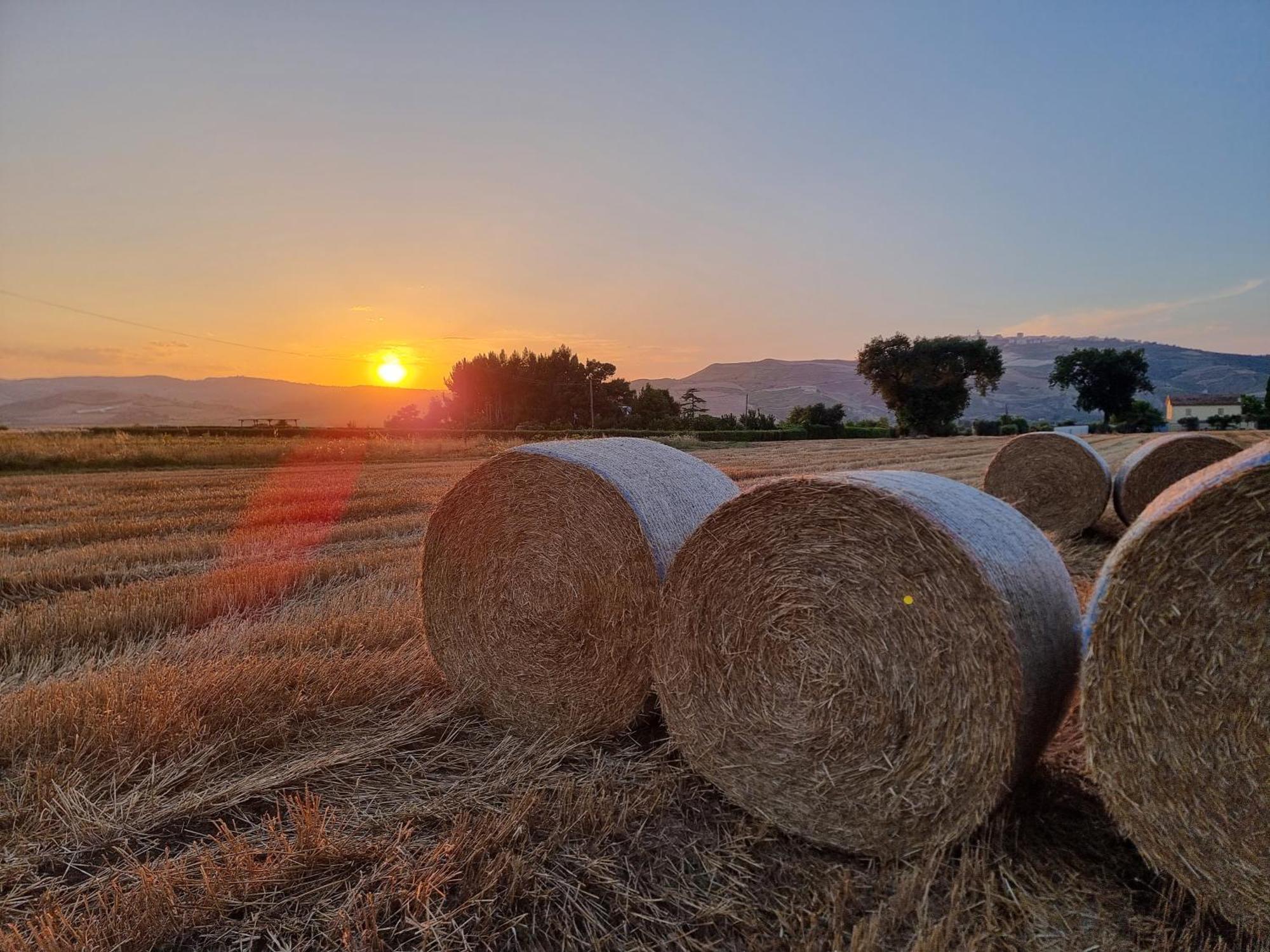 Agriturismo Essentia Dimora Rurale Larino Экстерьер фото