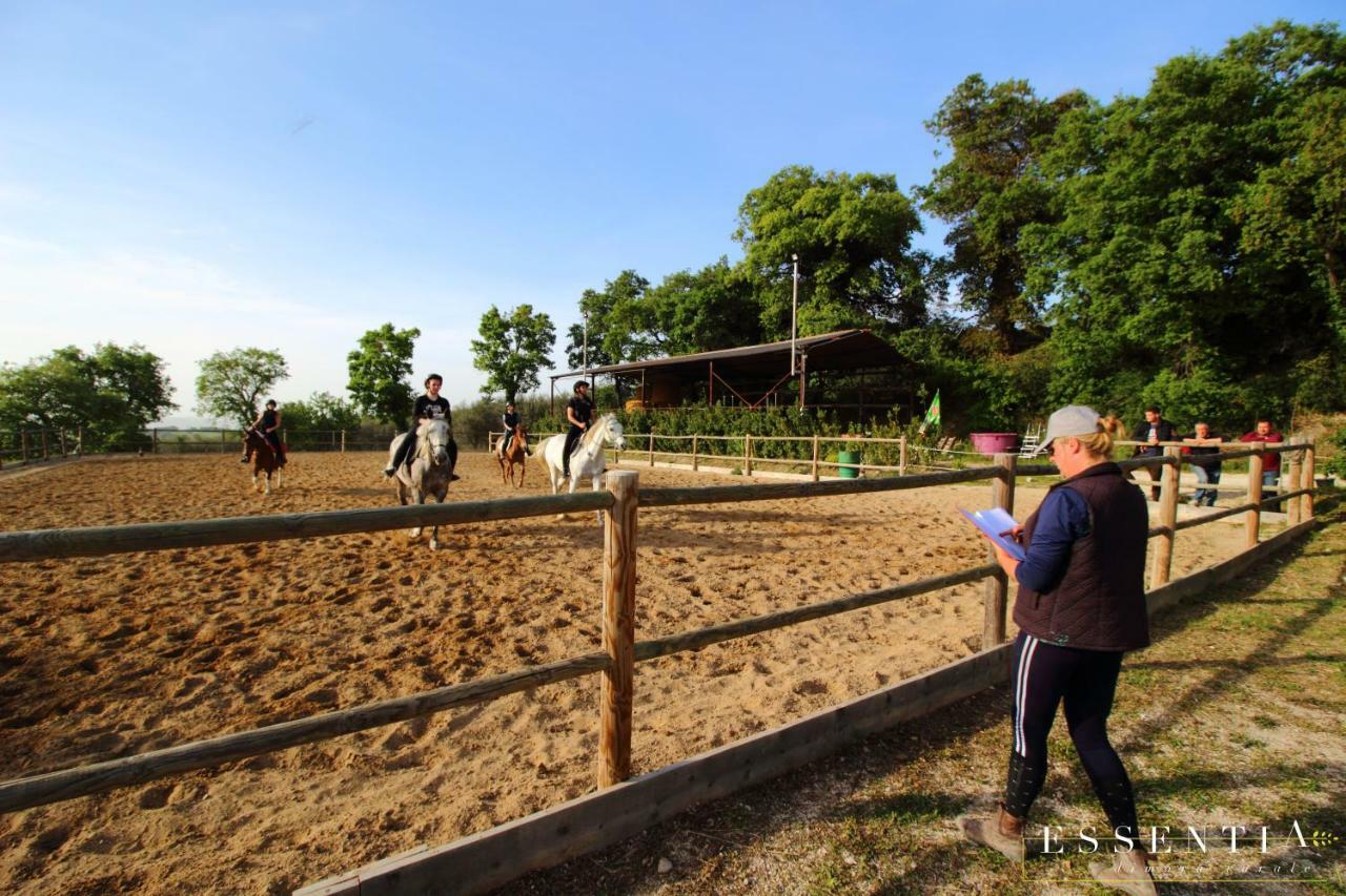 Agriturismo Essentia Dimora Rurale Larino Экстерьер фото